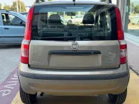 Usata Fiat Panda Dynamic 60 CV (44 kW) 2007 Marrone Utilitaria