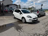 Usata Fiat Punto Evo S 77 CV (56 kW) 2013 Bianco Utilitaria