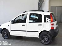 Usata Fiat Panda Active 60 CV (44 kW) 2008 Bianco Utilitaria
