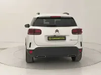 Usata Citroën C5 Aircross Shine 131 CV (96 kW) 2023 Bianco SUV
