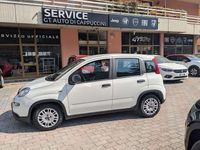 Usata Fiat Panda S 69 CV (50 kW) 2024 Bianco Utilitaria