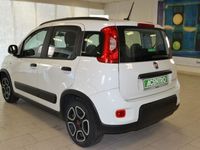 usata Fiat Panda 1.0 - my21 1.0 70cv hybrid city life