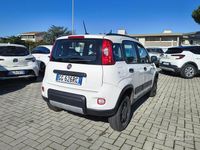 Usata Fiat Panda 4x4 Wild 84 CV (61 kW) 2021 Bianco Utilitaria