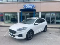 Usata Ford Kuga ST-Line X 225 CV (165 kW) 2023 Bianco perlato SUV