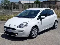 Usata Fiat Punto Evo 75 CV (55 kW) 2015 Bianco Utilitaria
