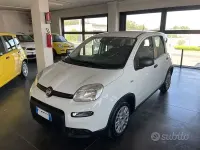 Usata Fiat Panda S 70 CV (51 kW) 2024 Bianco Utilitaria