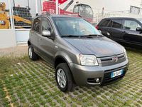 Usata Fiat Panda 4x4 Climbing 74 CV (54 kW) 2012 Grigio Utilitaria