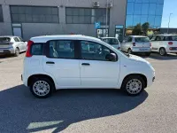 Usata Fiat Panda Easy 69 CV (50 kW) 2019 Bianco Utilitaria