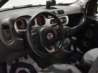 usata Fiat Panda Cross 1.2 CITY IDEALE NEOPATENTATI