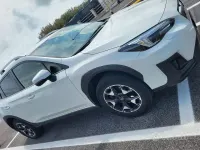 Usata Subaru XV Style 114 CV (83 kW) 2019 Bianco SUV