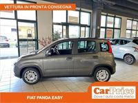 usata Fiat Panda Panda 1.0 FireFly 70CV Hyb.+ P. Comfort e Ruotino