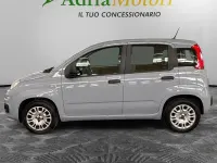 Usata Fiat Panda Lounge 69 CV (50 kW) 2020 Grigio Utilitaria