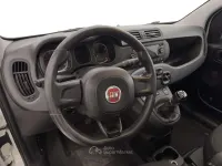 Usata Fiat Panda 4x4 S 86 CV (63 kW) 2021 Bianco Utilitaria