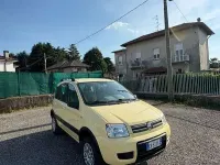 Usata Fiat Panda 4x4 60 CV (44 kW) 2005 Giallo Utilitaria