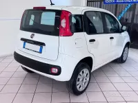 Usata Fiat Panda 70 CV (51 kW) 2018 Bianco Utilitaria