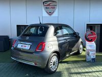 Usata Fiat 500 Lounge 69 CV (50 kW) 2019 Grigio