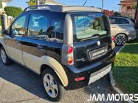 Usata Fiat Panda 4x4 Cross 69 CV (50 kW) 2007 Nero pastello Utilitaria
