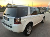 usata Land Rover Freelander 2.2 TD4 SE 190CV 2014