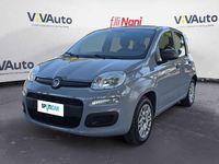 Usata Fiat Panda Pop 69 CV (50 kW) 2019 Grigio Utilitaria