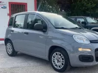 Usata Fiat Panda Easy 69 CV (50 kW) 2020 Grigio Utilitaria
