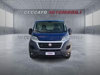Usata Fiat Ducato 116 CV (85 kW) 2019 Blu Furgone
