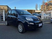 Usata Fiat Panda 69 CV (50 kW) 2018 Blu/azzurro Utilitaria