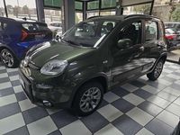 Usata Fiat Panda 4x4 S 86 CV (63 kW) 2019 Other Utilitaria