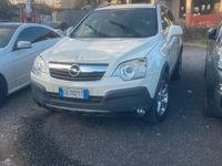 Usata Opel Antara Cosmo 150 CV (110 kW) 2010 Bianco SUV