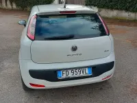 Usata Fiat Punto Evo 75 CV (55 kW) 2016 Utilitaria