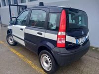 usata Fiat Panda 4x4 1.2 1.2 Climbing