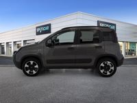 usata Fiat Panda Cross 1.0 FireFly 70cv S&S Hybrid