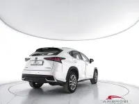 Usata Lexus NX300h Executive Line 155 CV (114 kW) 2018 Bianco SUV