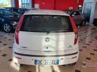 Usata Fiat Punto Active 60 CV (44 kW) 2006 Bianco Utilitaria