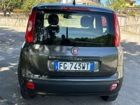 Usata Fiat Panda Easy 69 CV (50 kW) 2017 Grigio Utilitaria