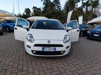 usata Fiat Punto 1.2 8V 5 porte Lounge NEOPATENTATI FINANZIABILE