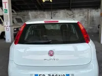 Usata Fiat Punto Lounge 70 CV (51 kW) 2016 Bianco Utilitaria