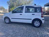 usata Fiat Panda Panda 1.2 Dynamic