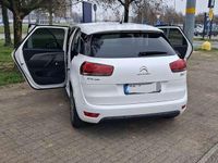 Usata Citroën C4 Picasso Intensive 120 CV (88 kW) 2016 Monovolume