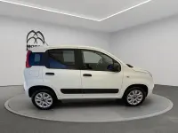 Usata Fiat Panda 4x4 Pop 85 CV (62 kW) 2019 Bianco Utilitaria