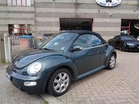 Usata VW New Beetle 101 CV (74 kW) 2004 Verde Utilitaria