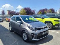 Usata Kia Picanto Urban 65 CV (47 kW) 2023 Grigio Utilitaria