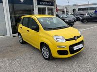 Nuova Fiat Panda Icon 2025 Giallo Utilitaria
