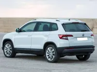 Nuova Skoda Karoq SportLine 150 CV (110 kW) 2026 Argento SUV
