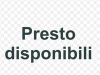 Immagine 1