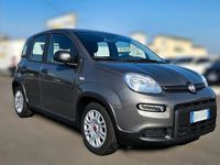 Usata Fiat Panda City Life 70 CV (51 kW) 2023 Grigio Utilitaria