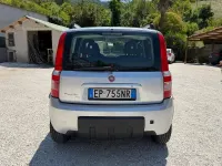 Usata Fiat Panda 4x4 Climbing 75 CV (55 kW) 2012 Grigio Utilitaria