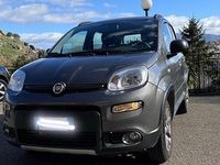 Usata Fiat Panda 4x4 85 CV (62 kW) 2020 Grigio Utilitaria
