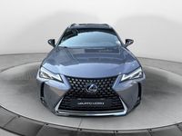 usata Lexus UX 250h Hybrid Premium