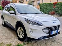 Usata Ford Kuga Titanium 163 CV (119 kW) 2020 SUV
