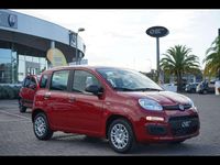 Nuova Fiat Panda 70 CV (51 kW) 2025 Rosso passione Utilitaria